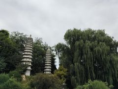 -沈阳植物园