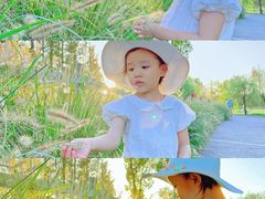 -前小桔亲子创意农场·草莓采摘·露营烧烤