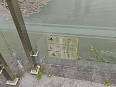 -新虹桥中心花园