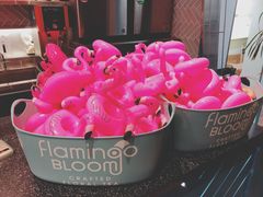 -Flamingo Bloom(TST /尖沙咀店)