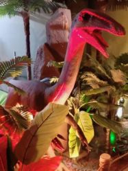 -恐龙探索乐园(磁器口店)