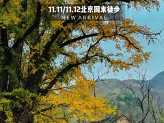 -王府井步行街