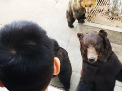 -西霞口神雕山野生动物世界