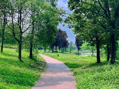 -两河城市森林公园