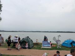 -丁香湖公园