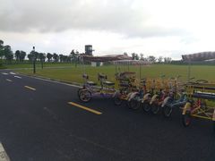 -春花秋色城市公园