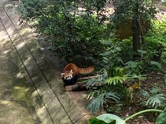 -昆明动物园