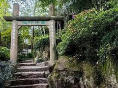 -西泠印社
