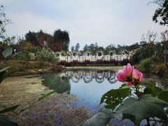 -天府芙蓉园