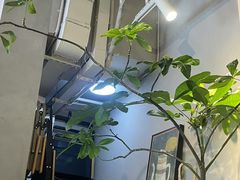 -seed by seed囍得咖啡酒馆(万象天地店)