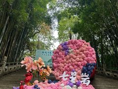 -星湖旅游景区七星岩