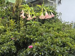 -瑞丰园庭院餐厅·白族传统家常菜