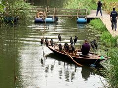 -溱湖国家湿地公园