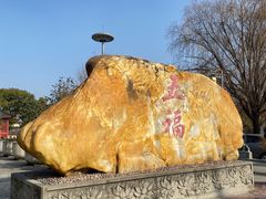 -上海东林寺(金山区)