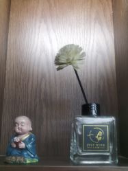 -贝勒爷专业男发
