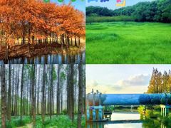-上海山野camping·户外天幕烧烤·团建拓展营地