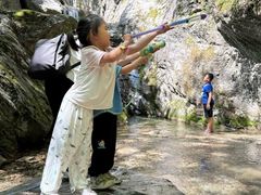 -牛背梁国家森林公园