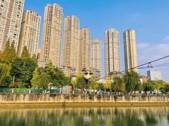 -成都市活水公园