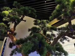 -绿茶餐厅(深圳龙华天虹购物中心店)