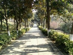 -太子山公园(园东路)