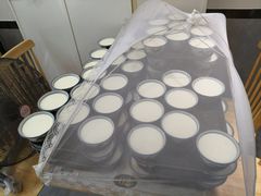 -水牛奶皇后糖水铺