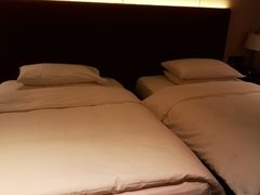 -上海崇明金茂凯悦酒店