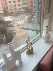 -哈尔滨瑞丽医疗美容医院
