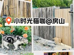 -小时光咖啡馆(开森度假森林店)