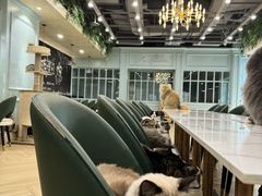 -安格丽娜·狗咖·猫咖羊驼咖(春熙路百盛商场店)