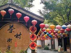 -天目湖山水园
