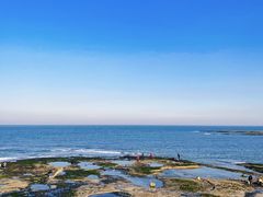 -巧克力渔家.小船海鲜胶东菜(万平口店)