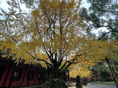 -成都武侯祠博物馆