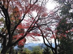-莫干山风景区