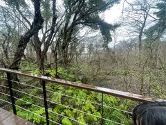 -济州森林小火车生态公园