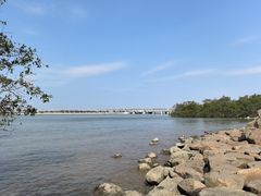 -宝安西湾红树林湿地公园