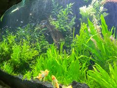 -上海海洋水族馆