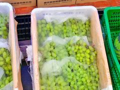 -双福水果批发市场