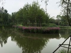 -东郊湿地公园