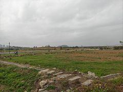 -光明小镇欢乐田园