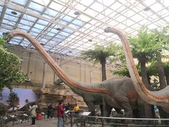 -国家自然博物馆