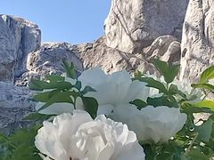 -太阳宫公园