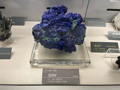 -中国地质博物馆