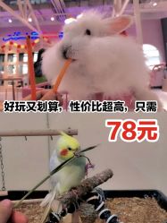 -Moni星球萌宠·小马宝莉·灵蛇·高端高阶全萌宠互动体验俱乐部(红豆国际广场店)