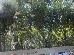 -莫多多餐厅