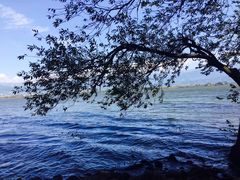 -西昌邛海湿地