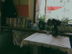 -昼夜咖啡馆