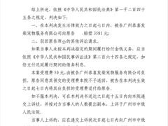 -柴犬高等学院·狗咖·柴犬售卖·宠物训练