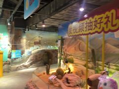 -正佳雨林生态植物园