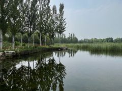 -张家湾公园