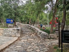 -阳台山自然风景区